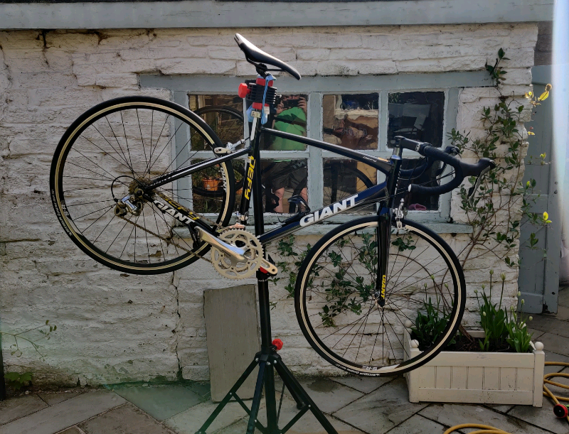 giant defy yellow and black